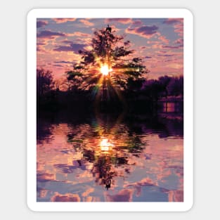 Swamp Sunset Reflection Sticker